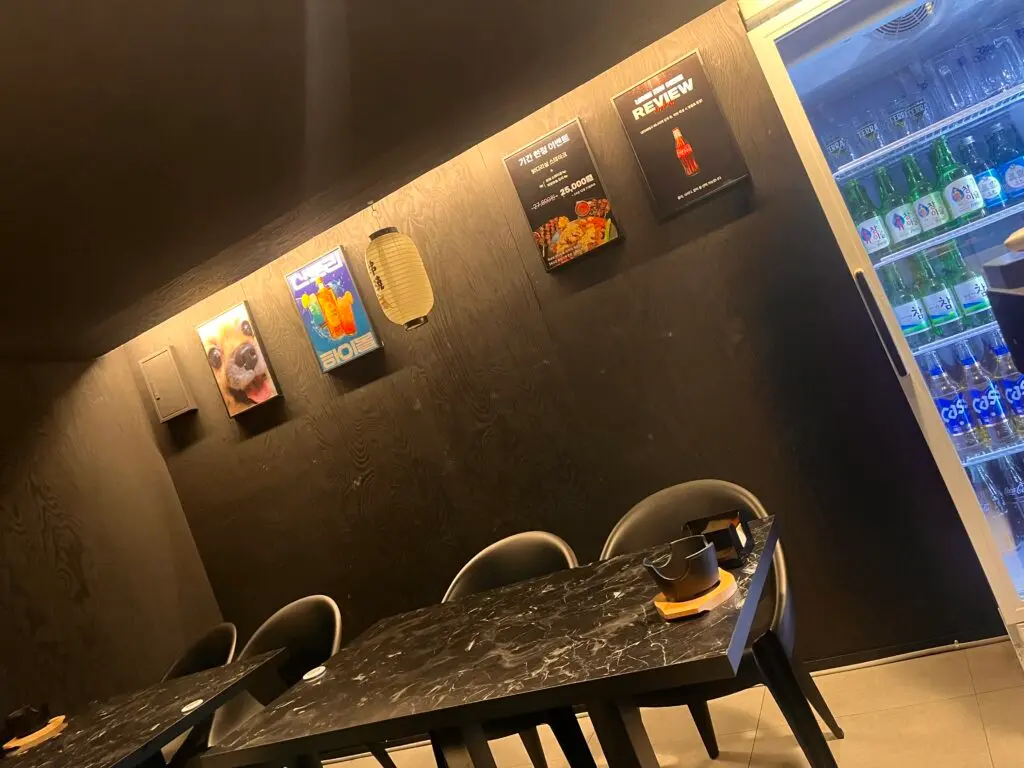 Funny chihuahua picture